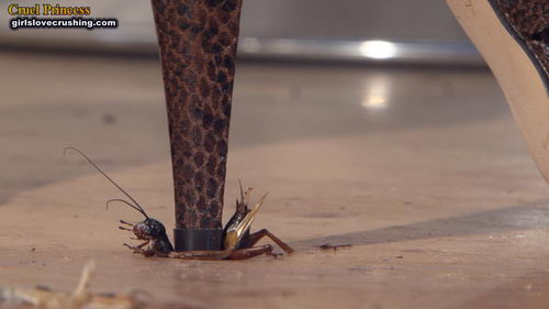 Kayla Strappy Snakeskin Heels V Crickets