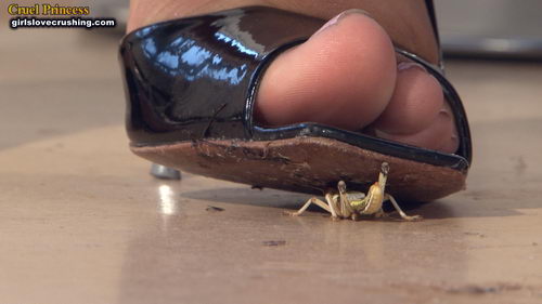 Kayla Silver Heels V Locusts