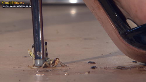 Kayla Silver Heels V Locusts