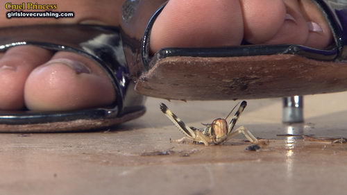 Kayla Silver Heels V Locusts