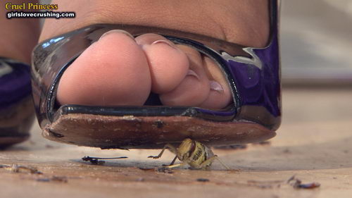 Kayla Silver Heels V Locusts