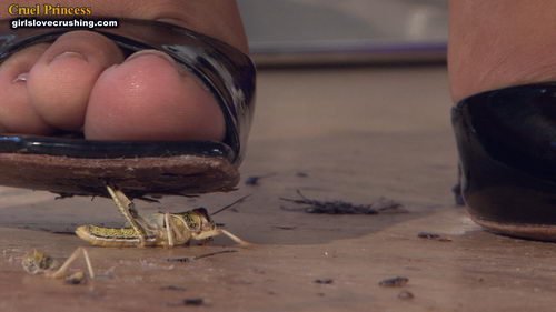 Kayla Silver Heels V Locusts