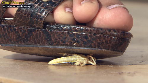 Kayla Strappy Snakeskin Heels V Locusts