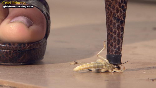 Kayla Strappy Snakeskin Heels V Locusts