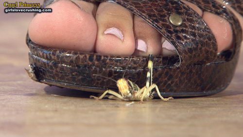 Kayla Strappy Snakeskin Heels V Locusts