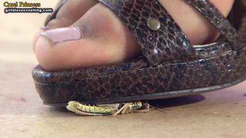 Kayla Strappy Snakeskin Heels V Locusts