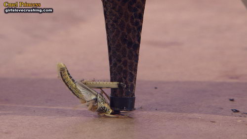 Kayla Strappy Snakeskin Heels V Locusts
