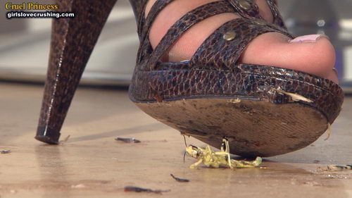 Kayla Strappy Snakeskin Heels V Locusts